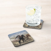 野生のムスタングの馬5 コースター (右側)