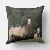 野生のムスタングの馬6 クッション (裏面)