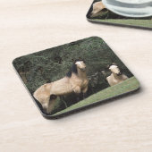 野生のムスタングの馬6 コースター (左側)