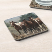 野生のムスタングの馬7 コースター (左側)