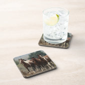 野生のムスタングの馬7 コースター (右側)