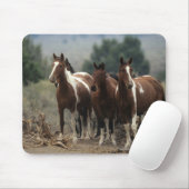野生のムスタングの馬7 マウスパッド (マウス)