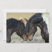 野生のムスタング馬の結婚式招待状 招待状 (裏面)