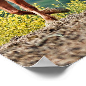 野生のムスチン ポスター (角)