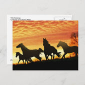 野生のムスチン ポストカード (正面/裏面)