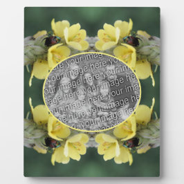 野生のムレインの花のカブトムシあなたの写真を追加 フォトプラーク