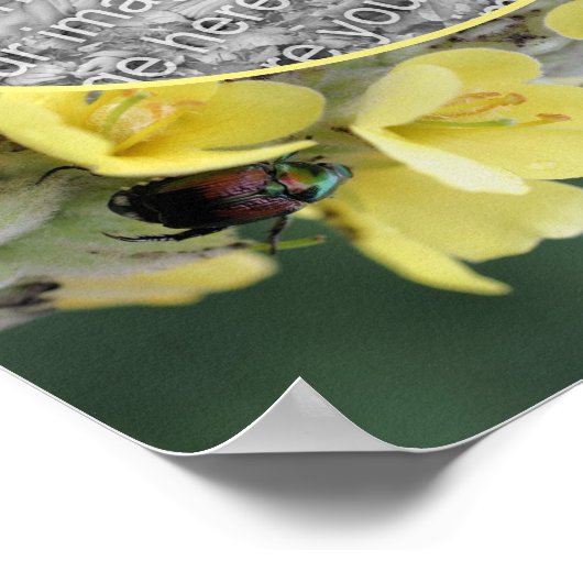 野生のムレインの花のカブトムシあなたの写真を追加 ポスター (角)