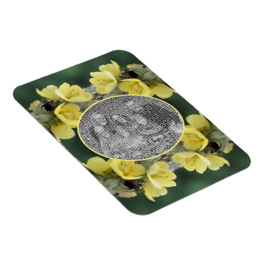 野生のムレインの花のカブトムシあなたの写真を追加 マグネット (右側)