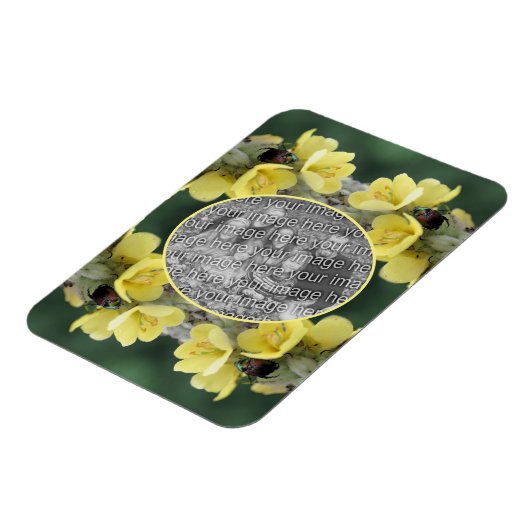 野生のムレインの花のカブトムシあなたの写真を追加 マグネット (左側)