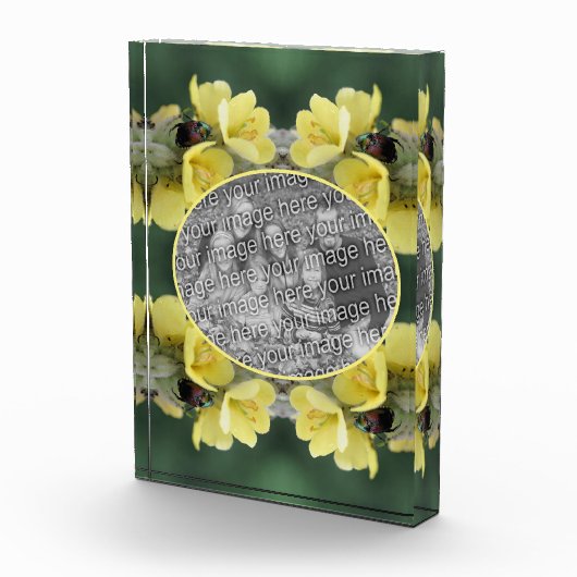 野生のムレインの花のカブトムシあなたの追加 フォトブロック (右)