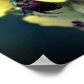 野生のムレインの花のカブトムシが閉まる ポスター (角)