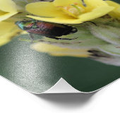野生のムレインの花のカブトムシ閉じる8x8 フォトプリント            (角)