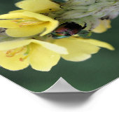 野生のムレインの花の抽象芸術 ポスター (角)