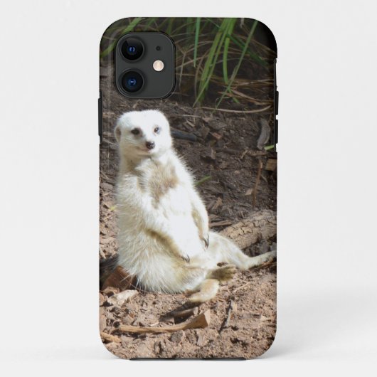 野生のモデル:カメラ用の白いメルカットのポーズ Case-Mate iPhoneケース (裏面)