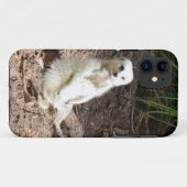 野生のモデル:カメラ用の白いメルカットのポーズ Case-Mate iPhoneケース (裏面(横))