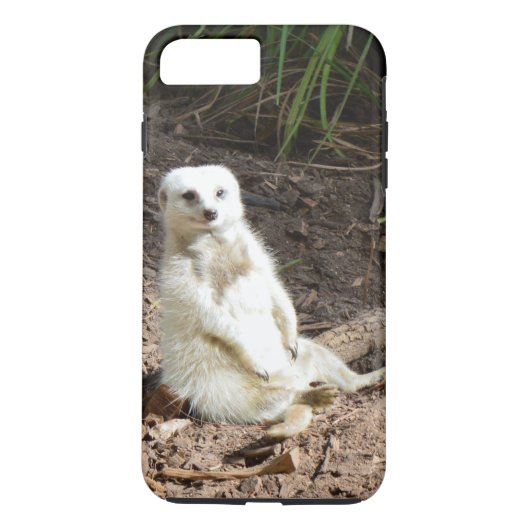 野生のモデル：カメラ用の白いメルカットのポーズ Case-Mate iPhoneケース (裏面)
