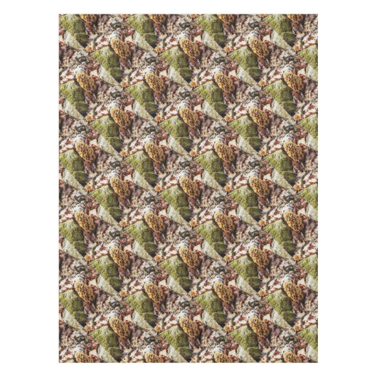 野生のモレル テーブルクロス (正面)