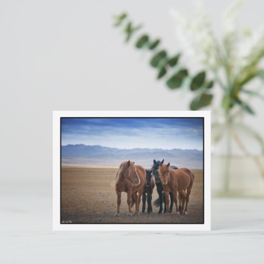 野生のモンゴル馬、ゴビ砂漠のポストカード ポストカード (スタンド正面)