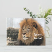 野生のライオンの写真 誕生日 招待状 (スタンド正面)