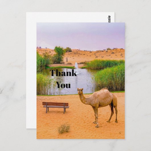 野生のラクダのオアシス写真ありがとう ポストカード (正面/裏面)