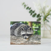 野生のラッパー写真ログ哺乳類感謝 ポストカード (スタンド正面)