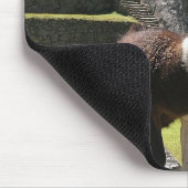 野生のラマ遺跡の近く マウスパッド (コーナー)