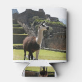 野生のラマ遺跡の近く 缶クーラー (裏面)