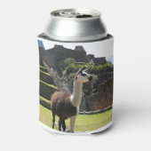 野生のラマ遺跡の近く 缶クーラー (缶裏面)