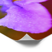 野生のランの花 ポスター (角)