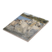 野生のランニング馬の川を タイル (側面)