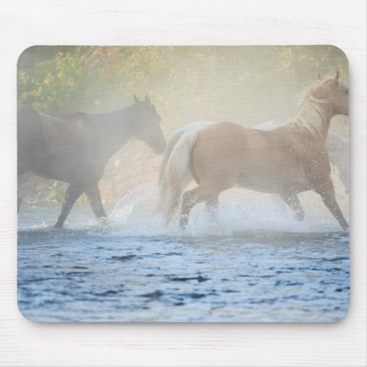 野生のランニング馬の水 マウスパッド (正面)