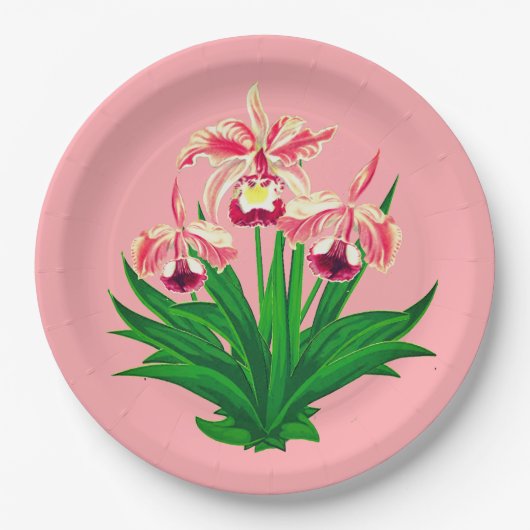 野生のラン – コーラルピンクのランと葉 ペーパープレート (正面)