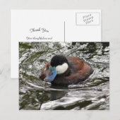 野生のワイルドダックの写真に感謝 ポストカード (正面/裏面)
