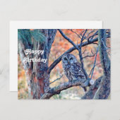 野生のワシズカアオバズクの木の写真の誕生日 ポストカード (正面/裏面)
