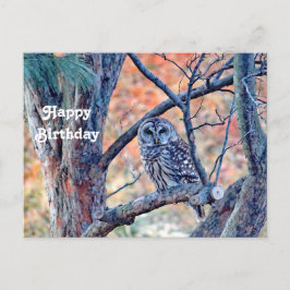 野生のワシズカオオスズメドリの木の写真の誕生日 ポストカード