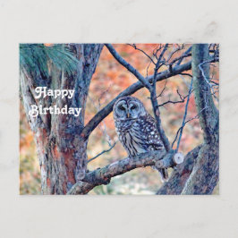 野生のワシズカオオスズメドリの木の写真の誕生日 ポストカード