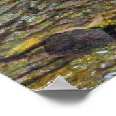 野生の七面鳥が川を渡る ポスター (角)