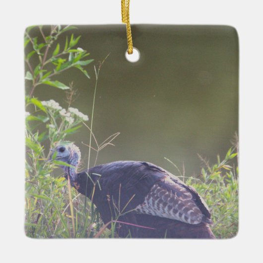 野生の七面鳥が草の中に隠れるオーナメント セラミックオーナメント (正面)