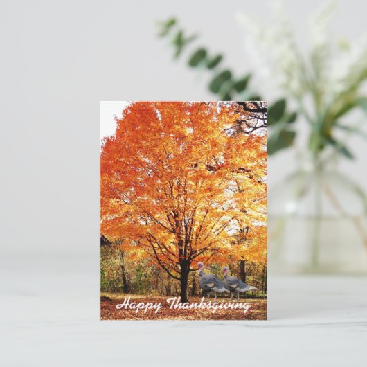 野生の七面鳥と感謝祭の秋の木 シーズンポストカード (スタンド正面)