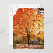 野生の七面鳥と感謝祭の秋の木 シーズンポストカード (正面/裏面)