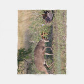 野生の七面鳥と戦う白尾の鹿 フリースブランケット (正面)