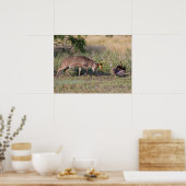 野生の七面鳥と戦う白尾の鹿 ポスター (キッチン)