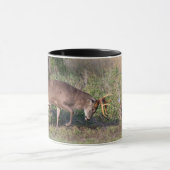 野生の七面鳥と戦う白尾の鹿 マグカップ (中央)