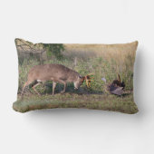 野生の七面鳥と戦う白尾の鹿 ランバークッション (正面)