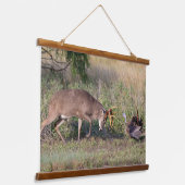 野生の七面鳥と戦う白尾の鹿 吊り下げ型タペストリー (傾斜あり)