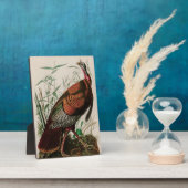 野生の七面鳥のアメリカオードボンプリント フォトプラーク (側面)