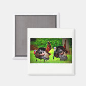 野生の七面鳥の飾磁石 マグネット (正面/裏面)