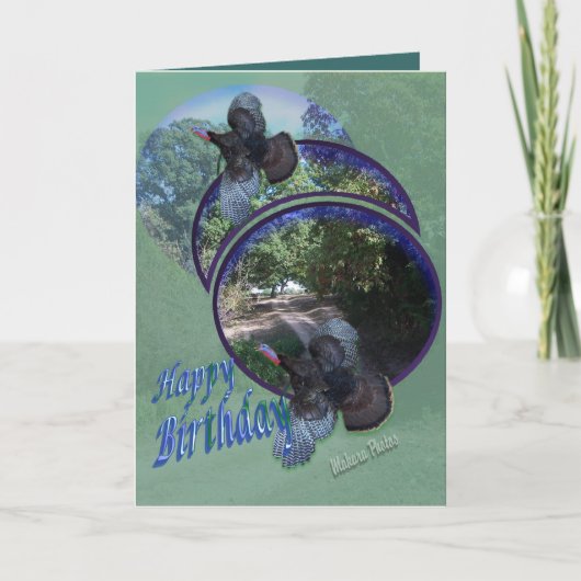 野生の七面鳥は飛行個人化なります カード (正面)