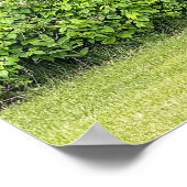 野生の七面鳥ポスター ポスター (角)