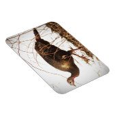 野生の七面鳥マグネット マグネット (右側)